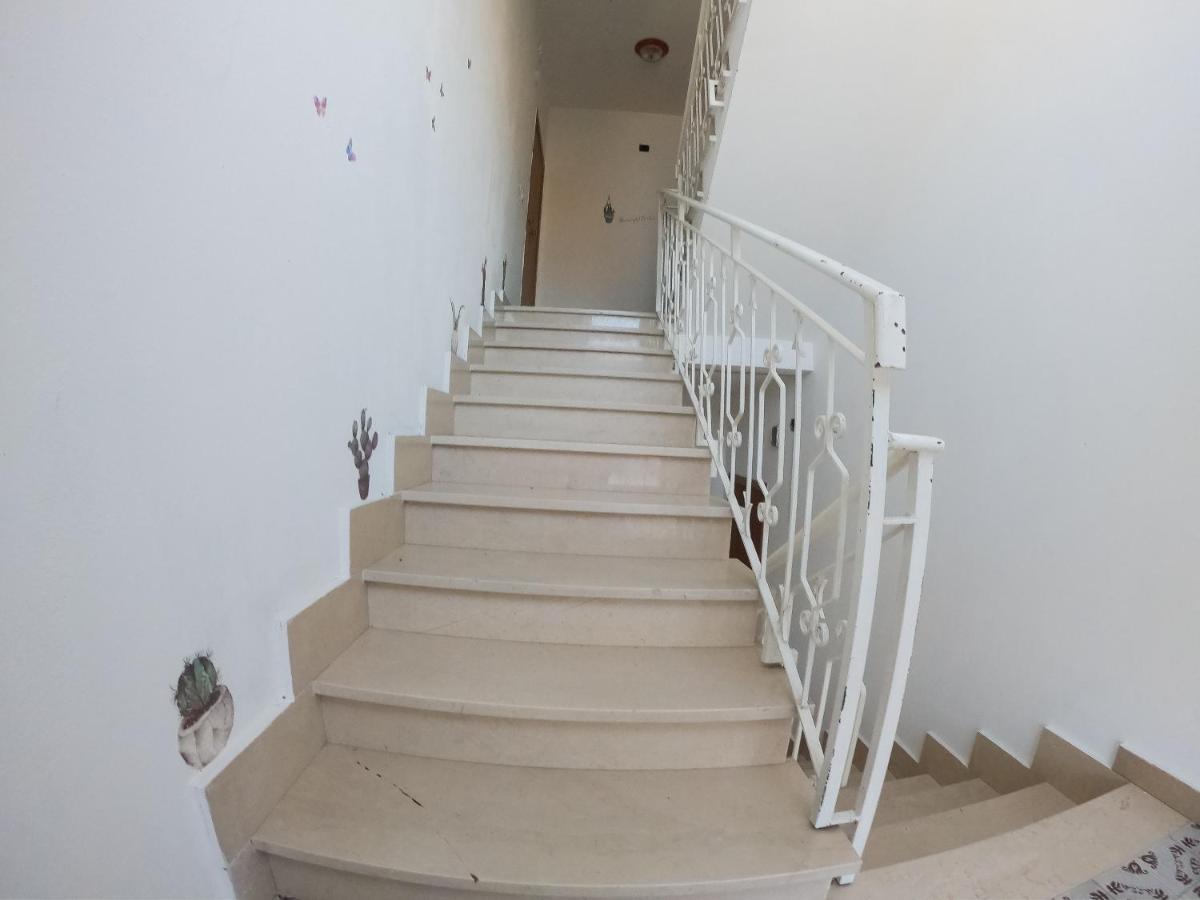 Cactus House Apartment Olbia Bagian luar foto